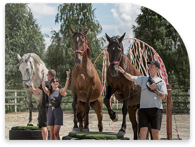Ліберті