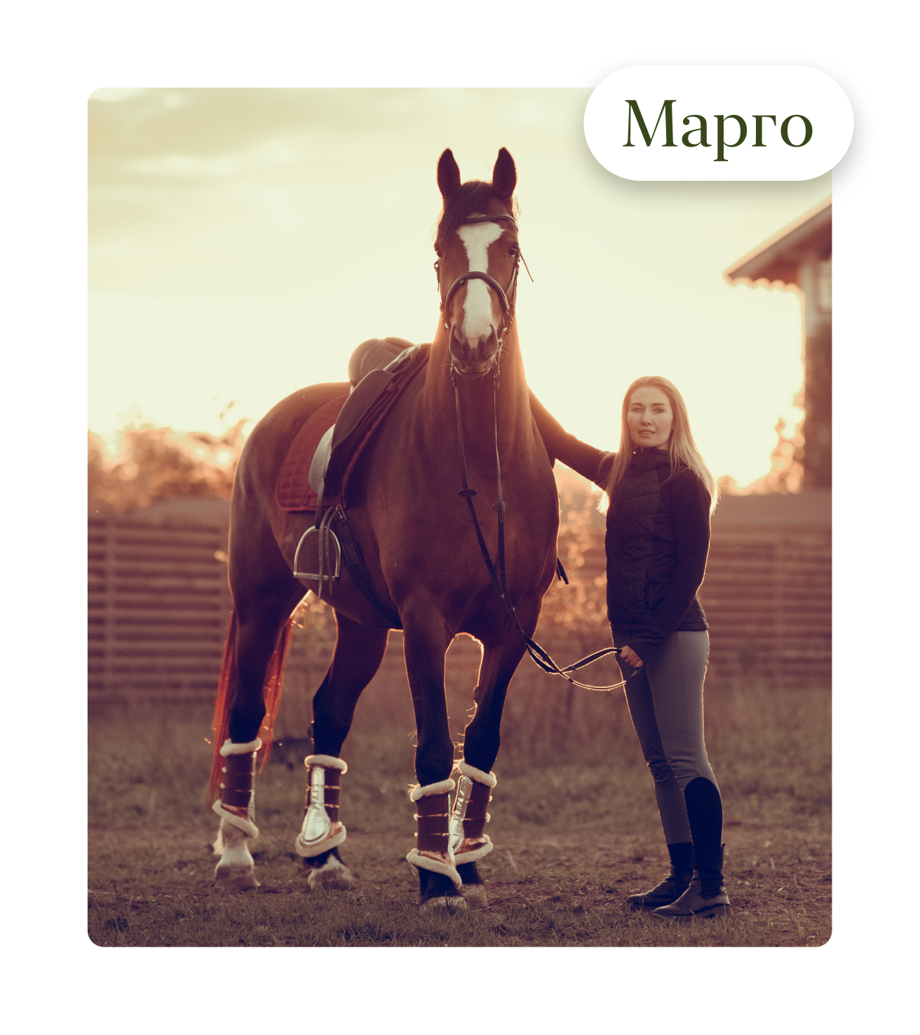 Марго