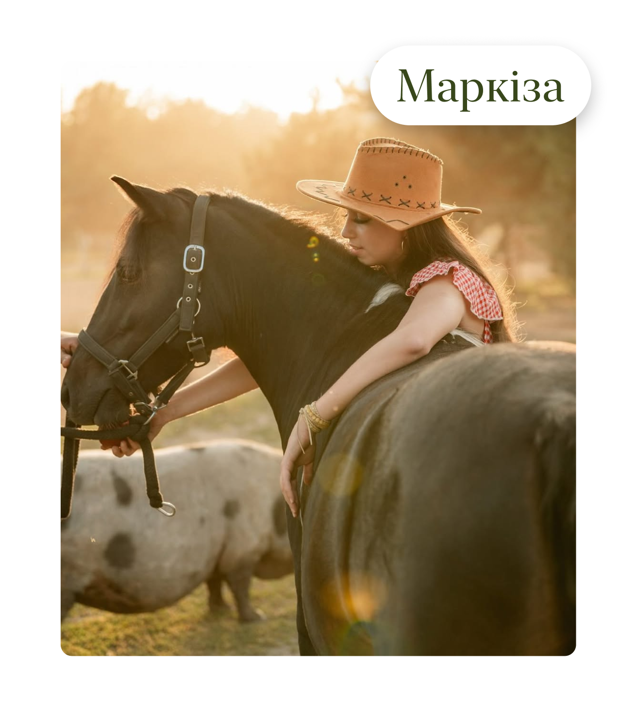 Маркіза