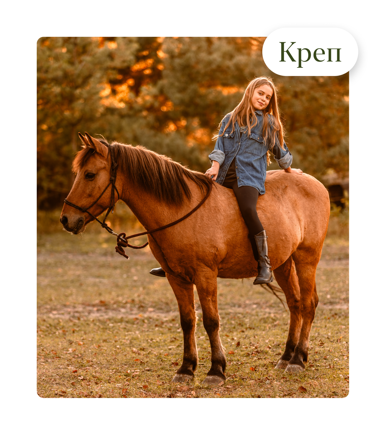 Креп